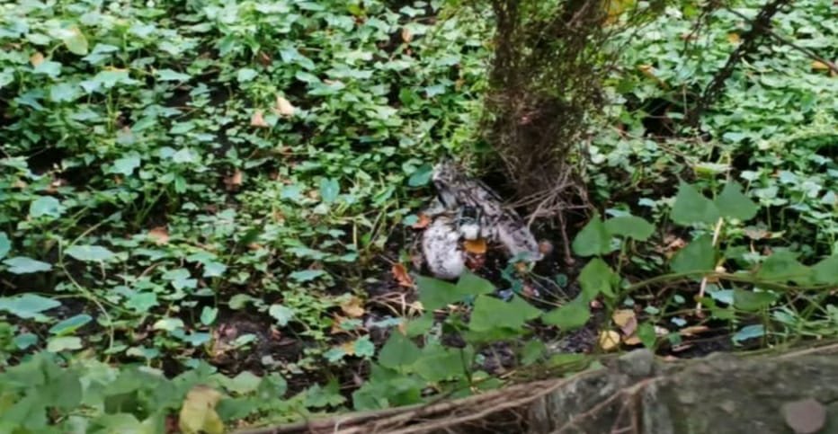 সোনারগাঁওয়ে নিখোঁজের একদিন পর স্ক্রাব ব্যবসায়ীর মরদেহ উদ্ধার 