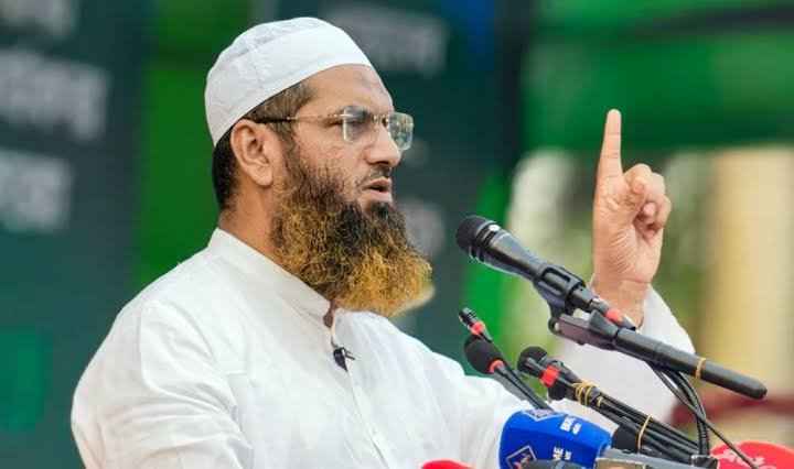 গণভোটের রায় বাস্তবায়ন ছাড়া সরকারের সামনে বিকল্প নেই: মামুনুল হক