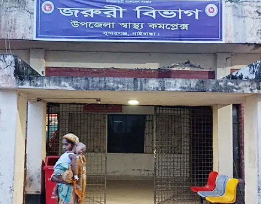 গাইবান্ধায় পাগলা শিয়ালের তান্ডব: শিশু-নারীসহ আহত ৯, পরে পিটিয়ে হত্যা
