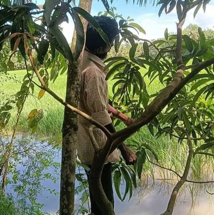 কোম্পানীগঞ্জে গাছের সঙ্গে ওড়না পেঁচানো যুবকের মরদেহ উদ্ধার