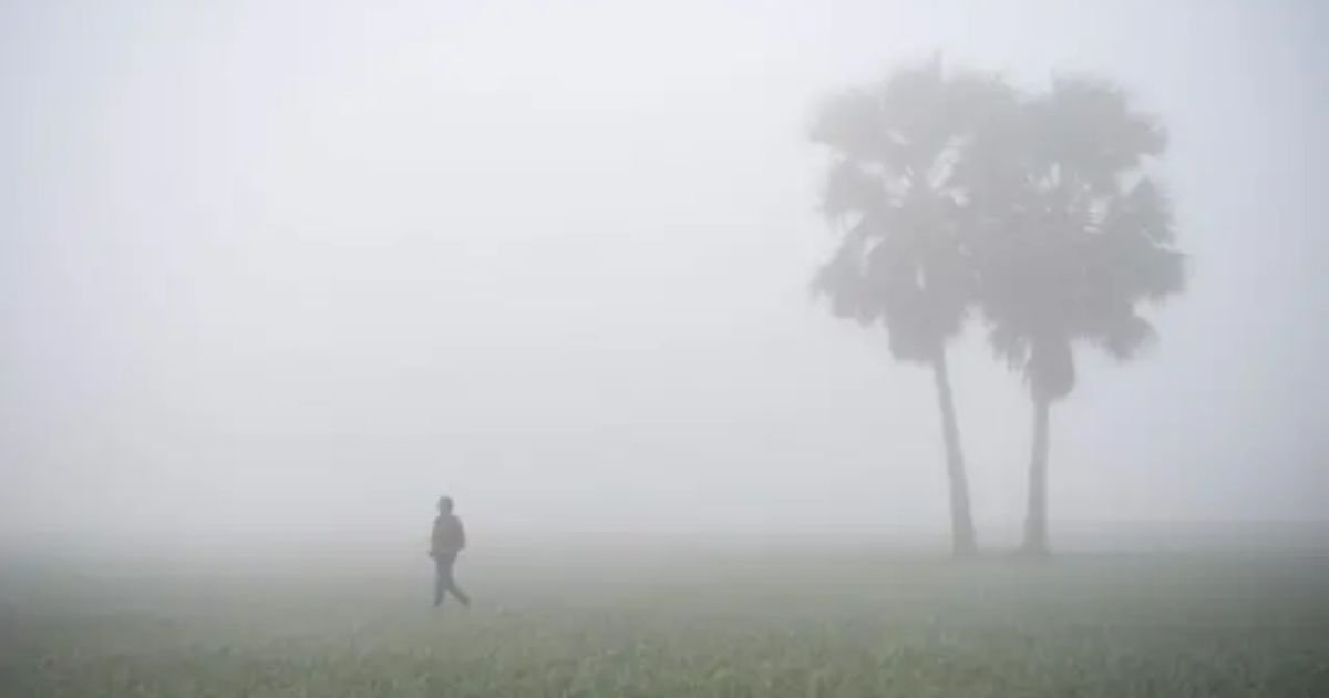 ভোরের কুয়াশায়, শীতের আগমনী বার্তা