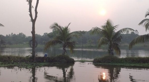 সূর্যাস্তের ছায়ায় আড়িয়াল বিলের নতুন রূপ ‘চরদুবলি’