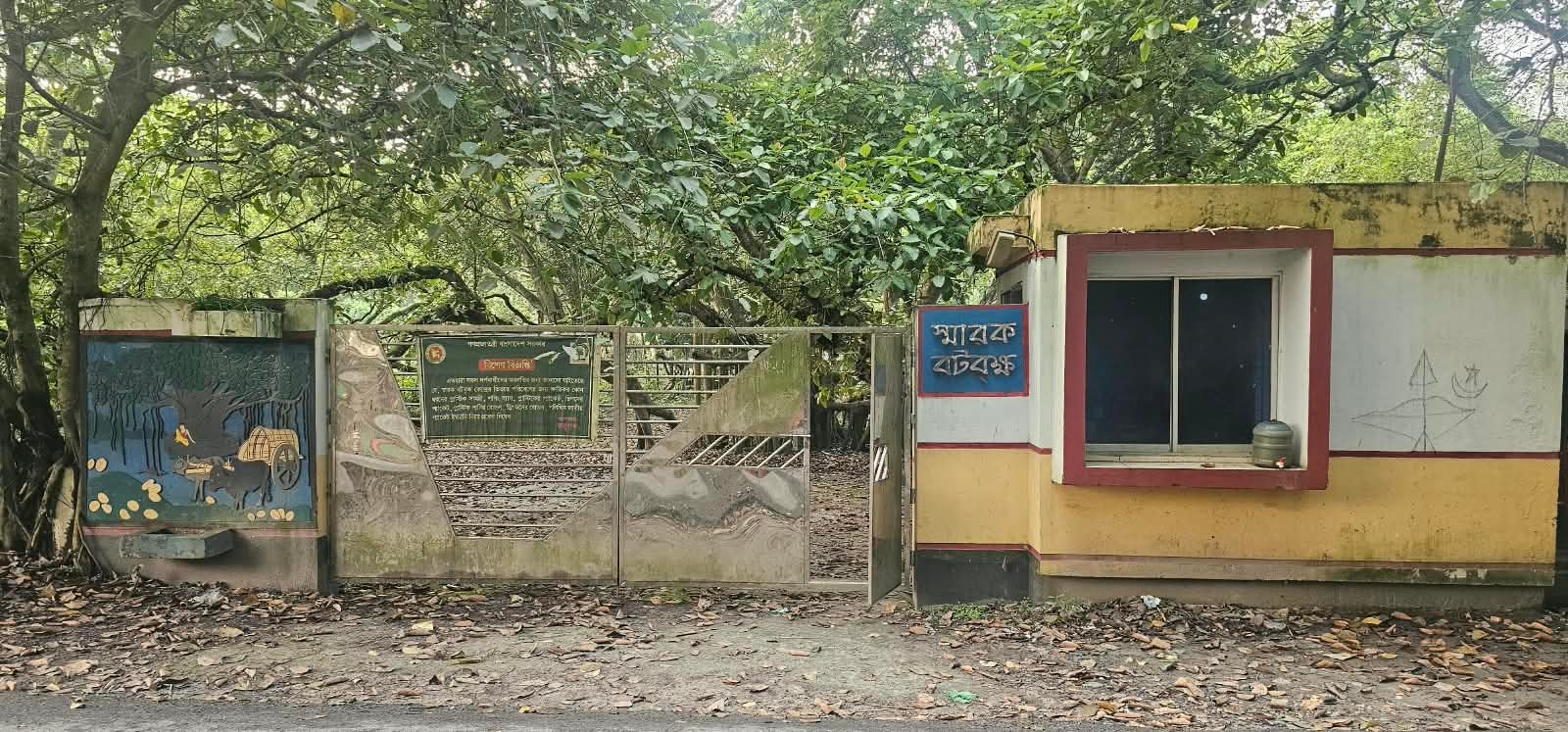 সংরক্ষণ ও পরিচর্যার অভাবে বিলুপ্তির ঝুঁকিতে ঝিনাইদহের ঐতিহাসিক মল্লিকপুর বটবৃক্ষ  